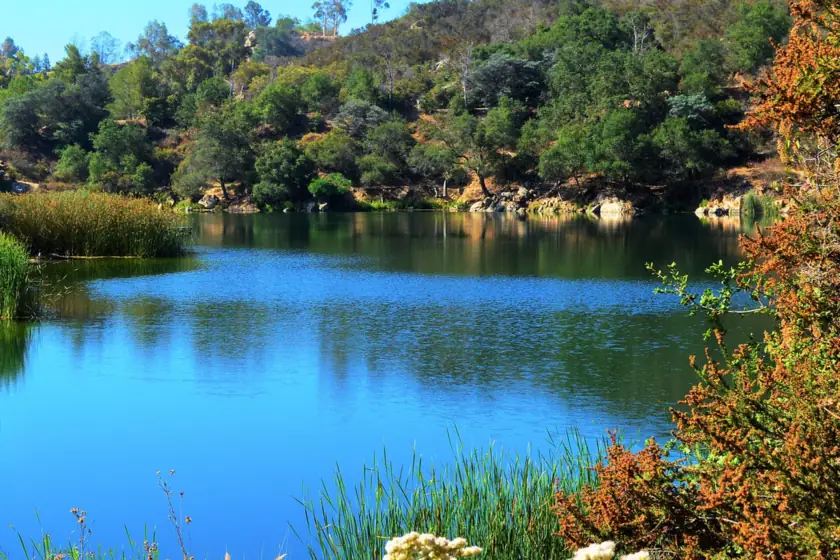 Dixon Lake in Escondido, still blue water ringed by oak-covered hills, reeds and autumn brush