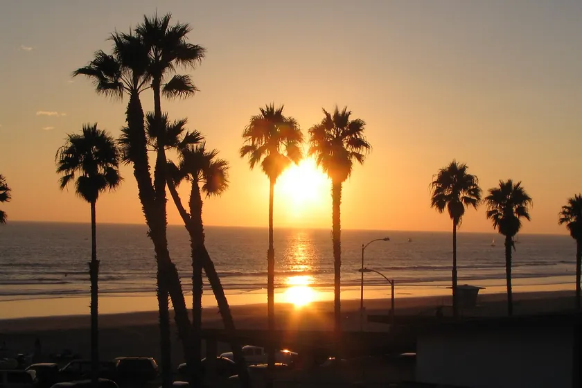 The sun setting into the Pacific behind silhouetted palm trees along the Oceanside shoreline