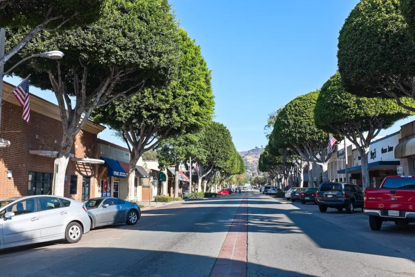 Greenleaf Avenue in Uptown Whittier, a street of shops lined with rounded, sculpted ficus trees